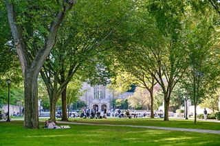 Yale Campus